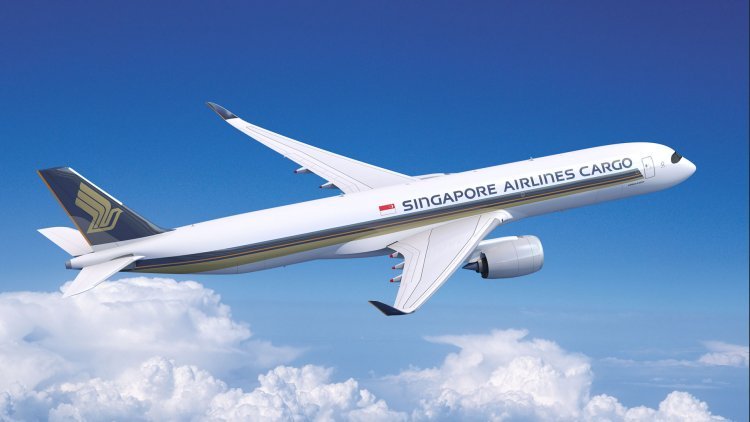 Singapore Airlines intends to increase its India flights