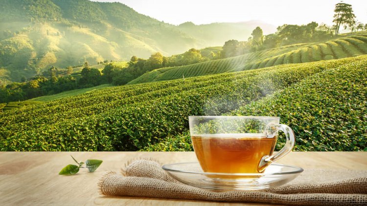 Exporters claim that Iran is not buying more Indian tea