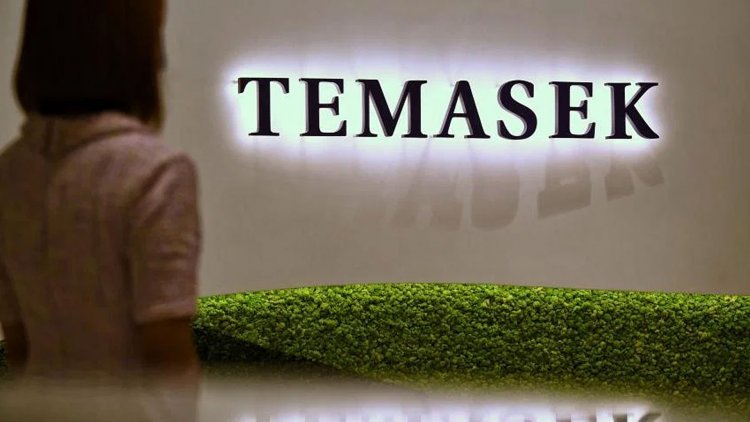 Temasek is most likely to acquire TPG's almost 21% ownership of Manipal Health